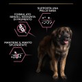 Purina Pro Plan Sensitive Digestion Large Robust Adult Salmone da kg 14